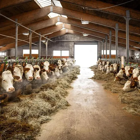 Farm stay Jaggling Sankt Ulrich am Pillersee
