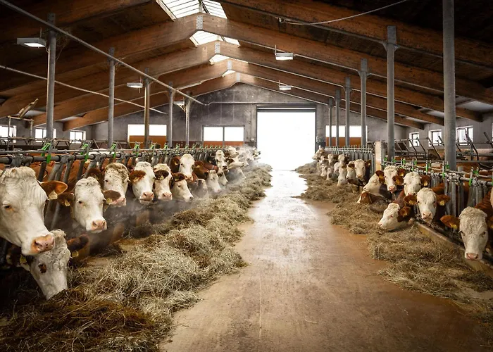 Vakantieboerderij Jaggling Sankt Ulrich am Pillersee